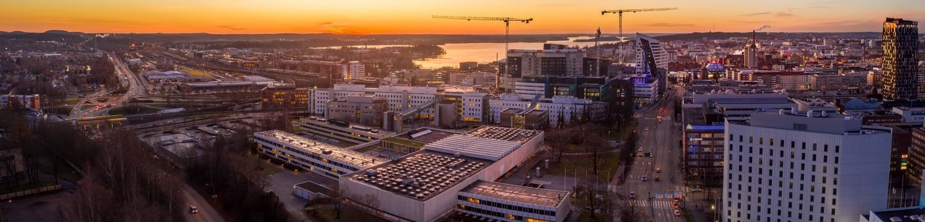 Handelns utvecklingsråd